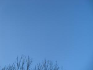<img300*0:stuff/z/1/birds%2520and%2520birds/DSC08195.JPG>