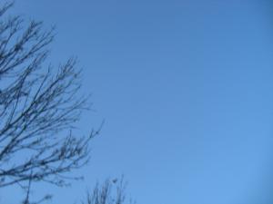 <img300*0:stuff/z/1/birds%2520and%2520birds/DSC08196.JPG>
