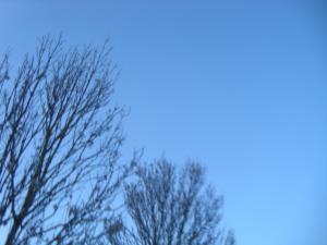 <img300*0:stuff/z/1/birds%2520and%2520birds/DSC08197.JPG>