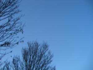 <img300*0:stuff/z/1/birds%2520and%2520birds/DSC08198.JPG>