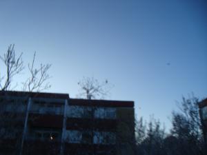 <img300*0:stuff/z/1/birds%2520and%2520birds/DSC08200.JPG>