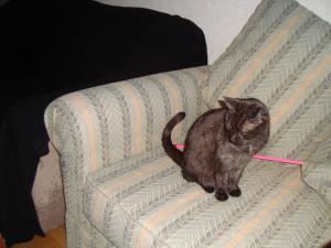 <img300*0:stuff/z/1/esn101/DSC05994.JPG>