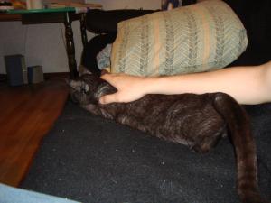 <img300*0:stuff/z/1/esn102/DSC06069.JPG>