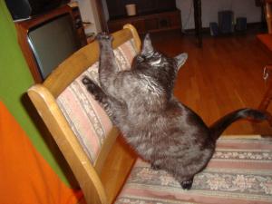<img300*0:stuff/z/1/esn107/DSC06664.JPG>