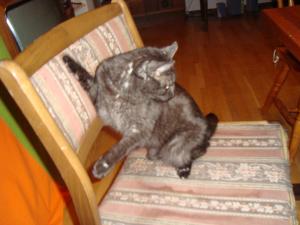 <img300*0:stuff/z/1/esn107/DSC06665.JPG>