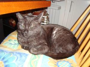 <img300*0:stuff/z/1/esn107/DSC06669.JPG>