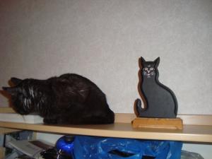 <img300*0:stuff/z/1/esn108/DSC06759.JPG>