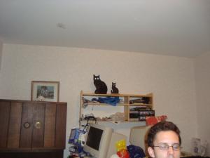 <img300*0:stuff/z/1/esn108/DSC06762.JPG>