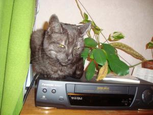 <img300*0:stuff/z/1/esn114/DSC07614.JPG>