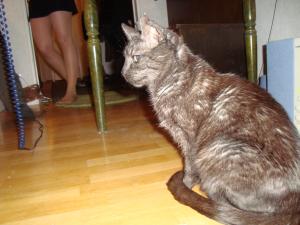 <img300*0:stuff/z/1/esn115/DSC07687.JPG>