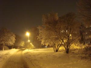 <img300*0:stuff/z/1/esn2010-01-13/DSC08206.JPG>