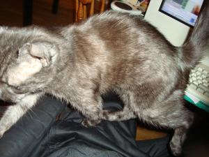 <img300*0:stuff/z/1/esn89/DSC00612.JPG>