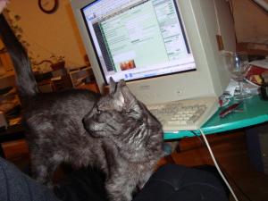 <img300*0:stuff/z/1/esn89/DSC00613.JPG>