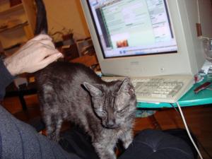 <img300*0:stuff/z/1/esn89/DSC00614.JPG>