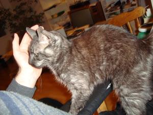 <img300*0:stuff/z/1/esn89/DSC00615.JPG>