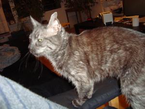 <img300*0:stuff/z/1/esn89/DSC00616.JPG>
