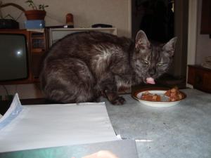 <img300*0:stuff/z/1/esn90/DSC00667.JPG>