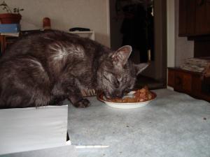<img300*0:stuff/z/1/esn90/DSC00668.JPG>
