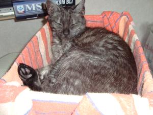 <img300*0:stuff/z/1/esn91/DSC00817.JPG>