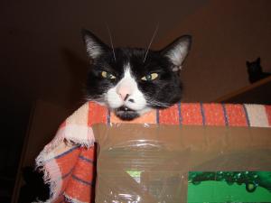 <img300*0:stuff/z/1/esn92/DSC00936.JPG>