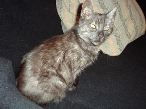<img300*0:stuff/z/1/esn92/DSC00938.JPG>
