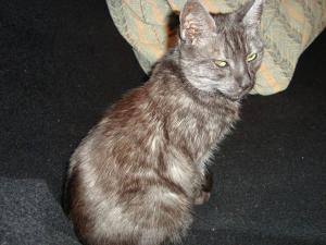 <img300*0:stuff/z/1/esn92/DSC00939.JPG>