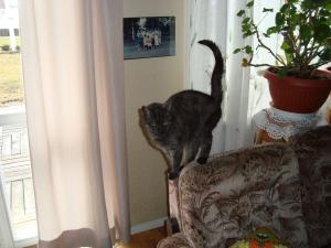 <img300*0:stuff/z/1/esn97/DSC01840.JPG>