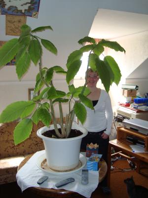 <img300*0:stuff/z/1/esn97/DSC01843.JPG>