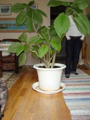 <img300*0:stuff/z/1/esn97/DSC01844.JPG>