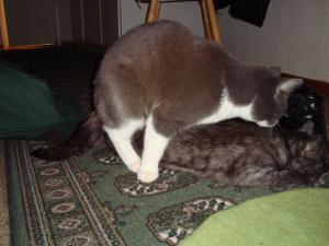 <img300*0:stuff/z/1/esn98/DSC02093.JPG>