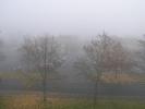 <img0*100:stuff/z/1/fog%2520photo%2520reference/p1010001.jpg>