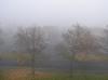 <img100*0:stuff/z/1/fog%2520photo%2520reference/p1010001.jpg>
