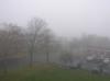 <img100*0:stuff/z/1/fog%2520photo%2520reference/p1010002.jpg>