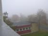 <img100*0:stuff/z/1/fog%2520photo%2520reference/p1010003.jpg>