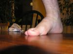 <img150*0:stuff/z/1/foot%2520photo%2520reference/p1010012.jpg>
