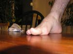 <img150*0:stuff/z/1/foot%2520photo%2520reference/p1010015.jpg>