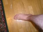 <img150*0:stuff/z/1/foot%2520photo%2520reference/p1010057.jpg>