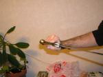 <img150*0:stuff/z/1/hand%2520photo%2520reference/p1010016.jpg>