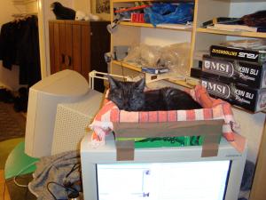 <img300*0:stuff/z/1/hedda35/dsc00012.jpg>