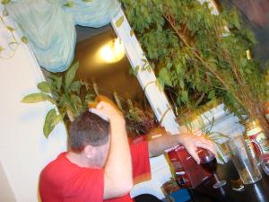 <img300*0:stuff/z/1/hedda35/dsc00031.jpg>