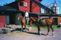 <img200*0:stuff/z/1/horses%2520by%2520hedda/2horse.jpg>
