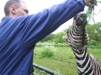 <img200*0:stuff/z/1/horses%2520by%2520hedda/S3010036.JPG>
