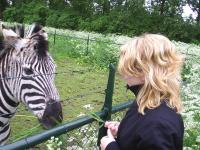 <img200*0:stuff/z/1/horses%2520by%2520hedda/S3010037.JPG>