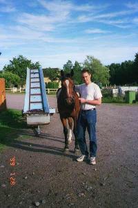 <img200*0:stuff/z/1/horses%2520by%2520hedda/horse.jpg>