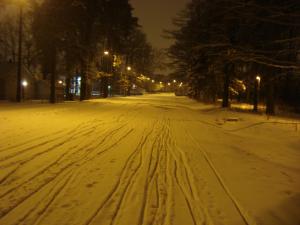 <img300*0:stuff/z/1/journey%2520to%2520Ljusdal/DSC07898.JPG>