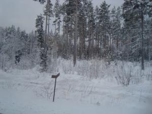 <img300*0:stuff/z/1/journey%2520to%2520Ljusdal/DSC07908.JPG>