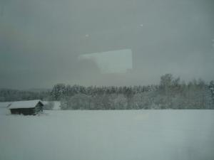 <img300*0:stuff/z/1/journey%2520to%2520Ljusdal/DSC07909.JPG>