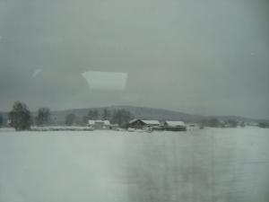 <img300*0:stuff/z/1/journey%2520to%2520Ljusdal/DSC07925.JPG>