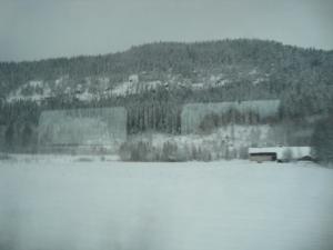 <img300*0:stuff/z/1/journey%2520to%2520Ljusdal/DSC07926.JPG>