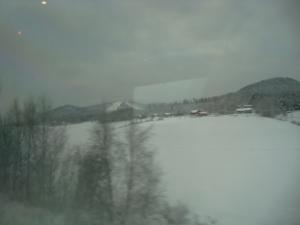 <img300*0:stuff/z/1/journey%2520to%2520Ljusdal/DSC07936.JPG>